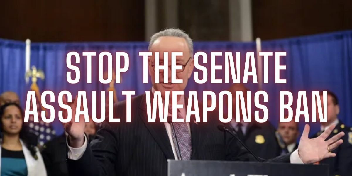 Support Citizens Committee For The Right To Keep And Bear Arms