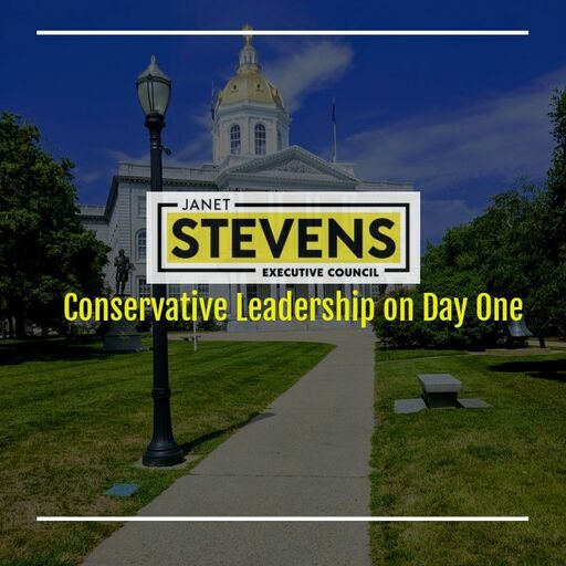 Janet Stevens for New Hampshire Executive Council: General Donations