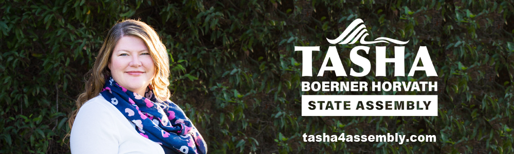 Tasha Boerner Horvath for Assembly 2020: Thank You For Your Support!