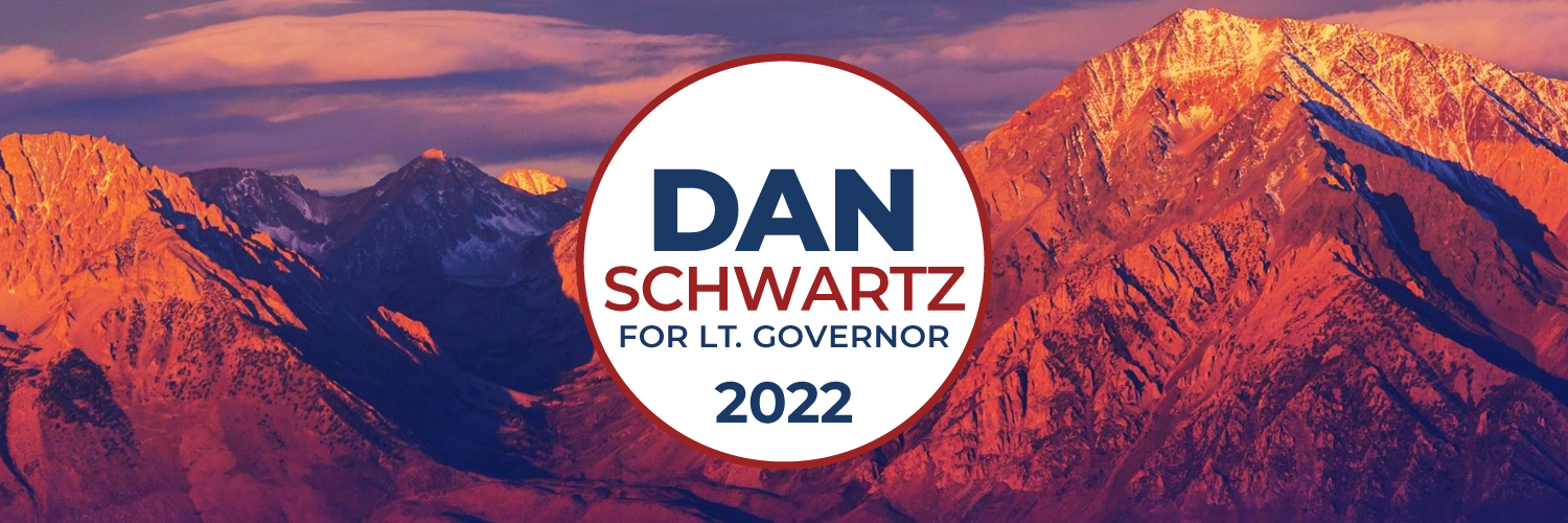 Committee To Elect Dan Schwartz: Website Splash