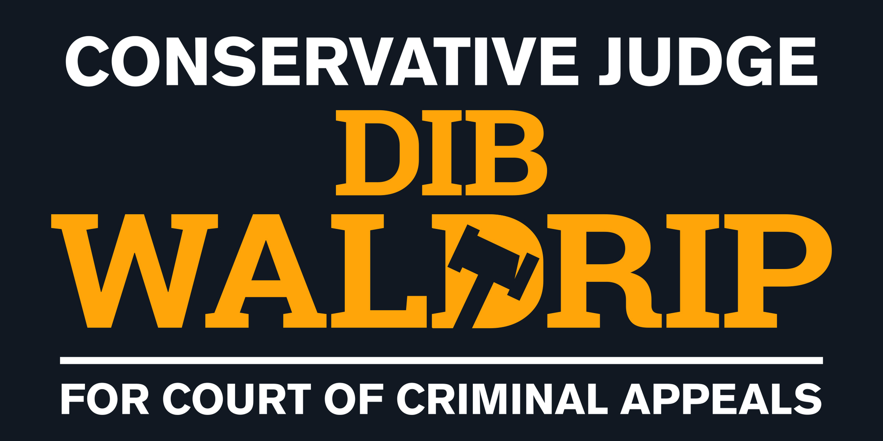 Judge Dib Waldrip Campaign: Campaign Fund