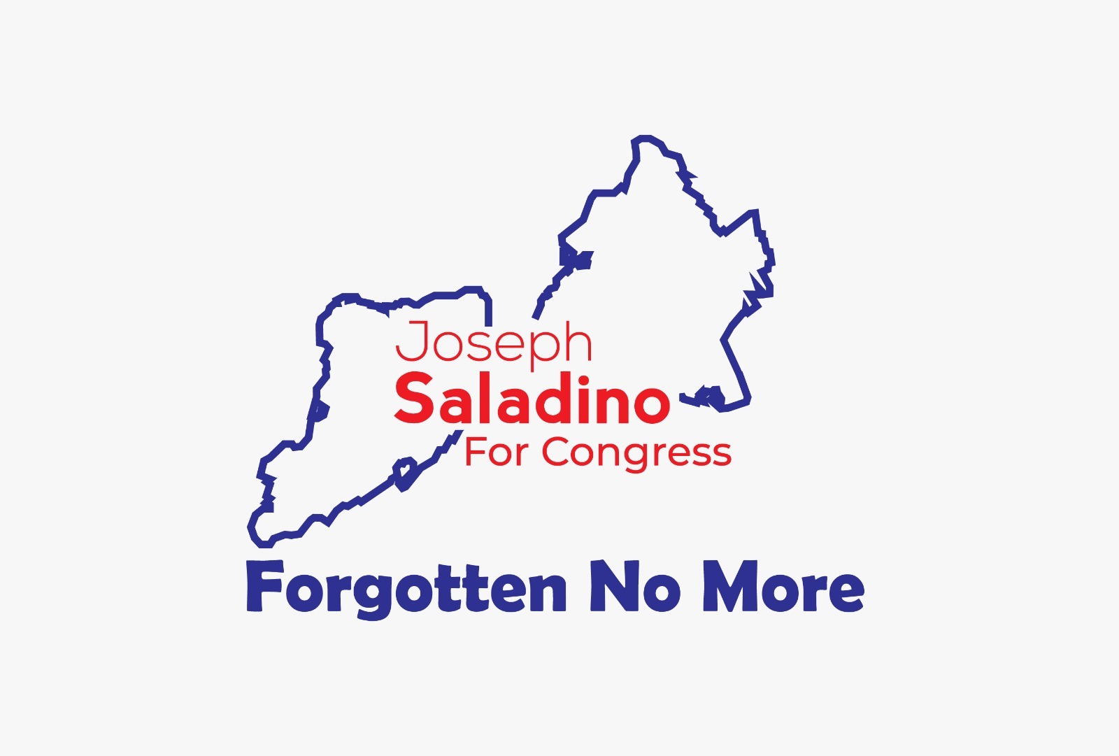 Saladino for Congress: Saladino Primary