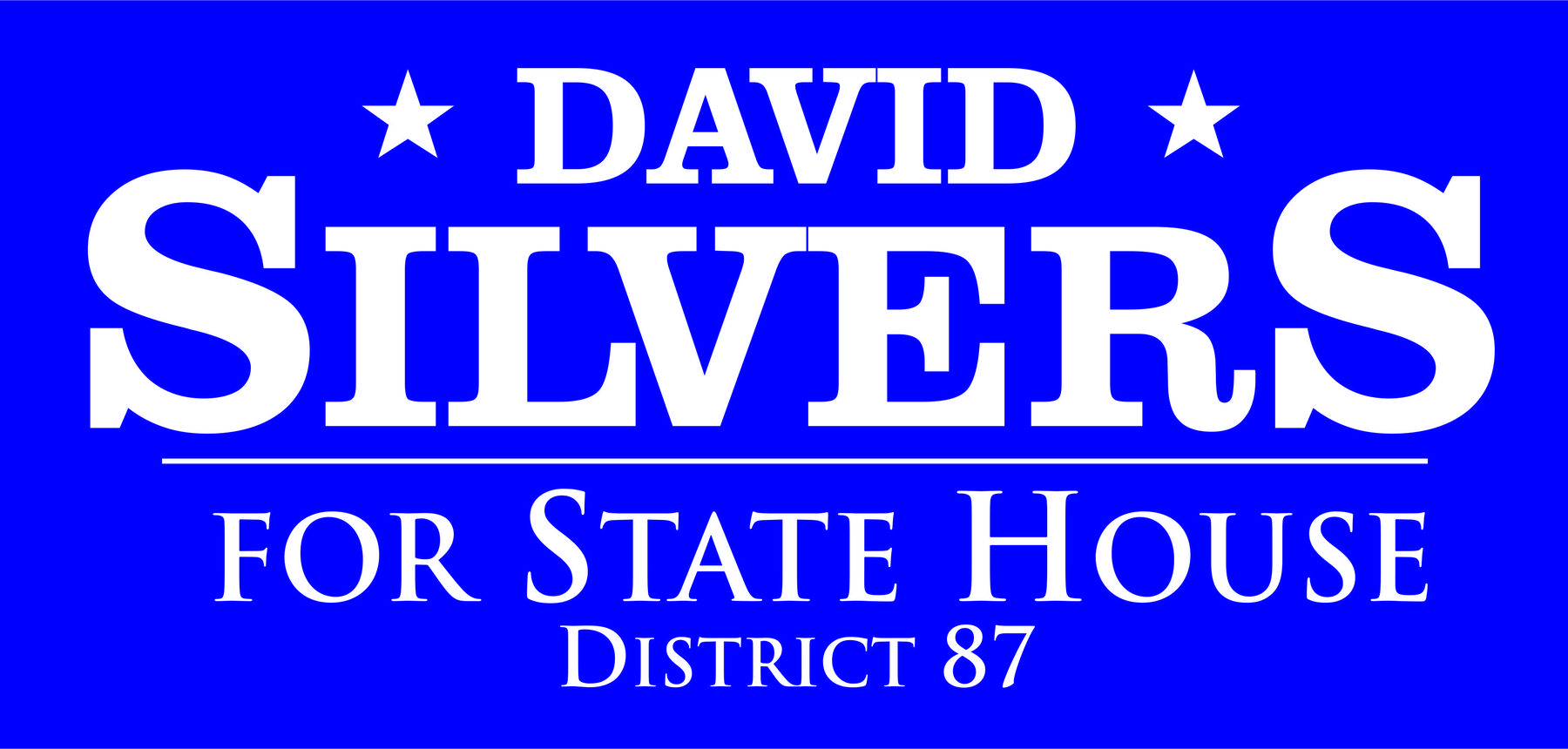 David Silvers for State House: David Silvers for State House