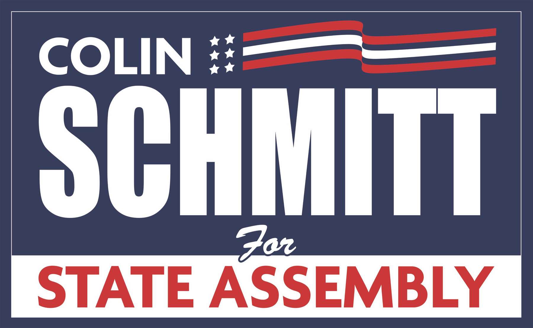 Schmitt4NY: Support Colin Schmitt!