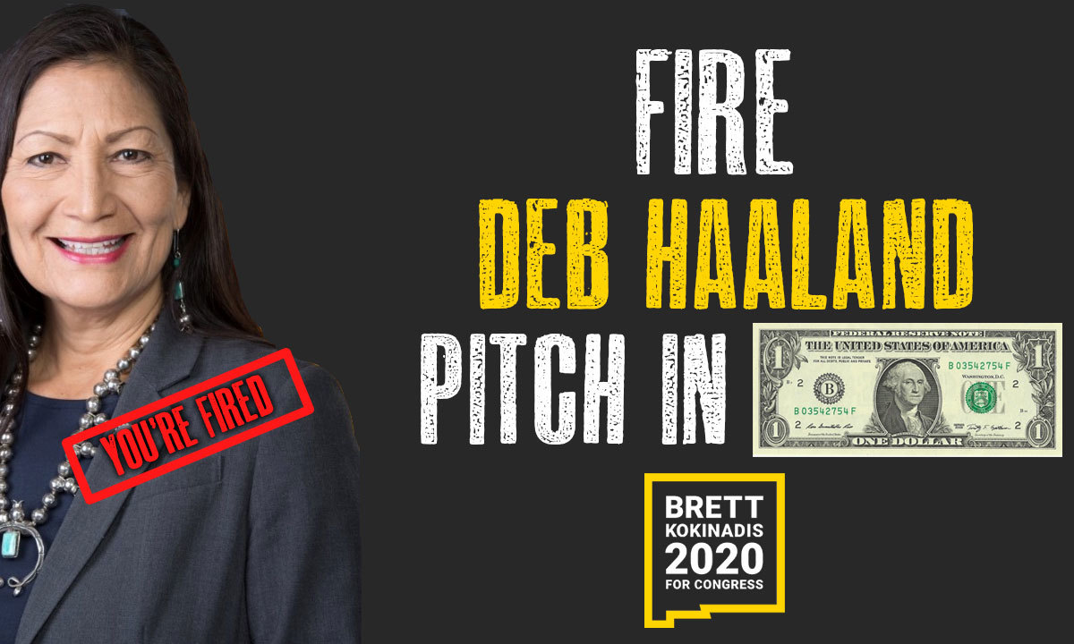 Imagine Brett for Congress: Fire Deb Halland
