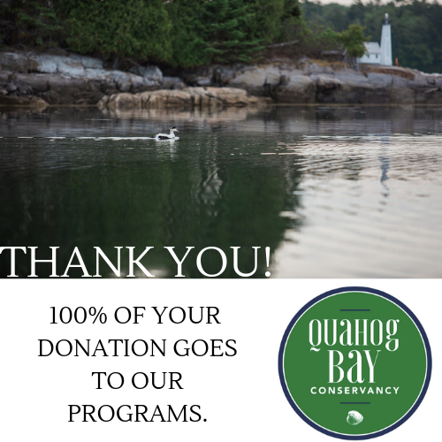 Quahog Bay Conservation: Support Quahog Bay Conservancy