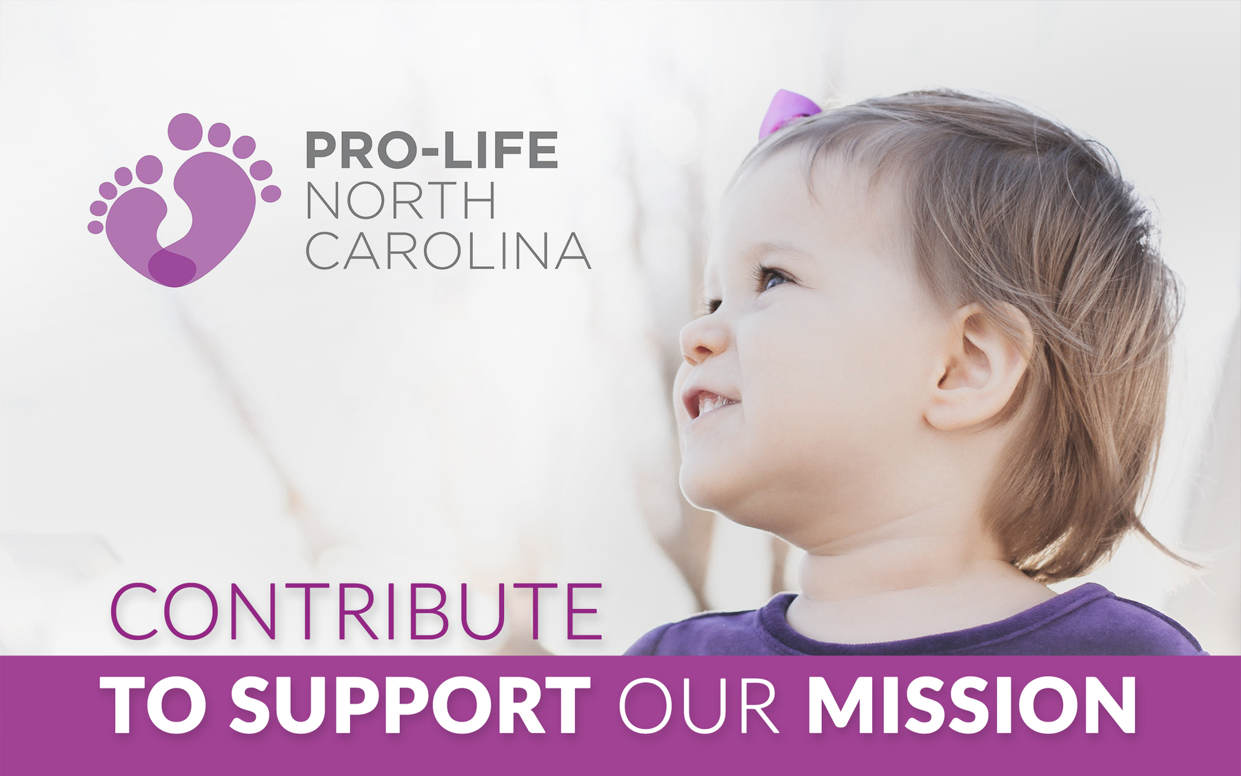 Pro-Life NC: Website Donation